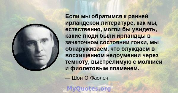 Если мы обратимся к ранней ирландской литературе, как мы, естественно, могли бы увидеть, какие люди были ирландцы в зачаточном состоянии гонки, мы обнаруживаем, что блуждаем в восхищенном недоумении через темноту,