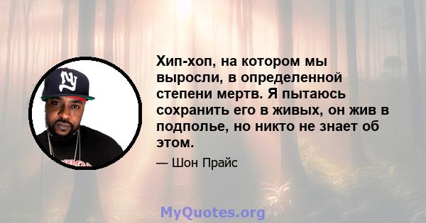 Хип-хоп, на котором мы выросли, в определенной степени мертв. Я пытаюсь сохранить его в живых, он жив в подполье, но никто не знает об этом.