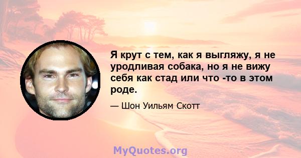 Я крут с тем, как я выгляжу, я не уродливая собака, но я не вижу себя как стад или что -то в этом роде.