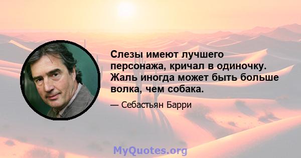 Слезы имеют лучшего персонажа, кричал в одиночку. Жаль иногда может быть больше волка, чем собака.