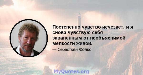 Постепенно чувство исчезает, и я снова чувствую себя заваленным от необъяснимой мелкости живой.