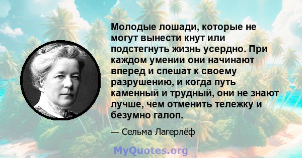 Молодые лошади, которые не могут вынести кнут или подстегнуть жизнь усердно. При каждом умении они начинают вперед и спешат к своему разрушению, и когда путь каменный и трудный, они не знают лучше, чем отменить тележку