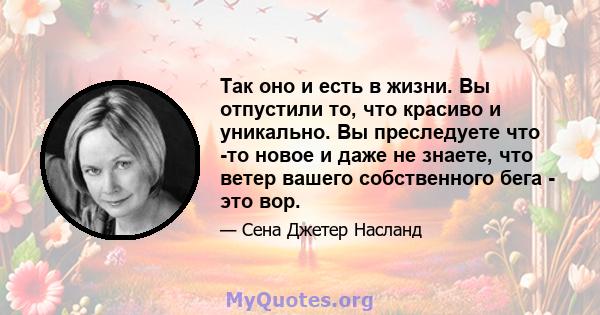 Так оно и есть в жизни. Вы отпустили то, что красиво и уникально. Вы преследуете что -то новое и даже не знаете, что ветер вашего собственного бега - это вор.