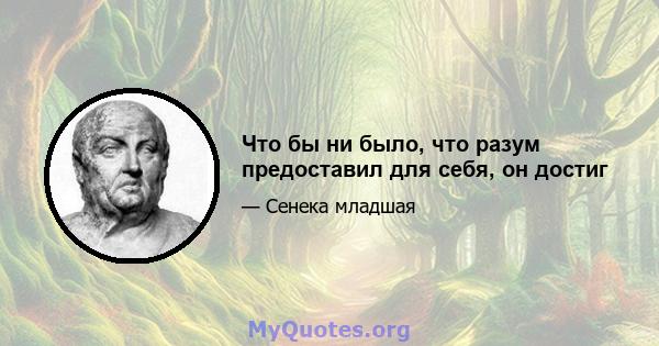 Что бы ни было, что разум предоставил для себя, он достиг