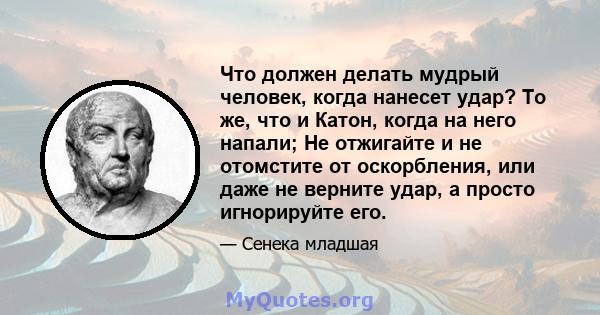 Что должен делать мудрый человек, когда нанесет удар? То же, что и Катон, когда на него напали; Не отжигайте и не отомстите от оскорбления, или даже не верните удар, а просто игнорируйте его.