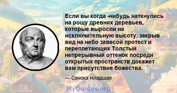 Если вы когда -нибудь наткнулись на рощу древних деревьев, которые выросли на исключительную высоту, закрыв вид на небо завесой протест и переплетающих Толстый непрерывный оттенок посреди открытых пространств докажет