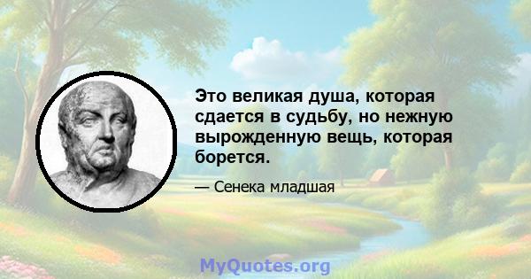 Это великая душа, которая сдается в судьбу, но нежную вырожденную вещь, которая борется.