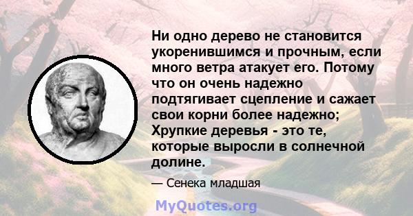 Ни одно дерево не становится укоренившимся и прочным, если много ветра атакует его. Потому что он очень надежно подтягивает сцепление и сажает свои корни более надежно; Хрупкие деревья - это те, которые выросли в