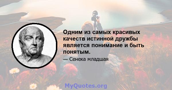 Одним из самых красивых качеств истинной дружбы является понимание и быть понятым.