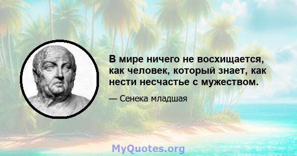 В мире ничего не восхищается, как человек, который знает, как нести несчастье с мужеством.