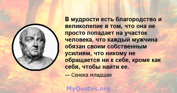 В мудрости есть благородство и великолепие в том, что она не просто попадает на участок человека, что каждый мужчина обязан своим собственным усилиям, что никому не обращается ни к себе, кроме как себя, чтобы найти ее.