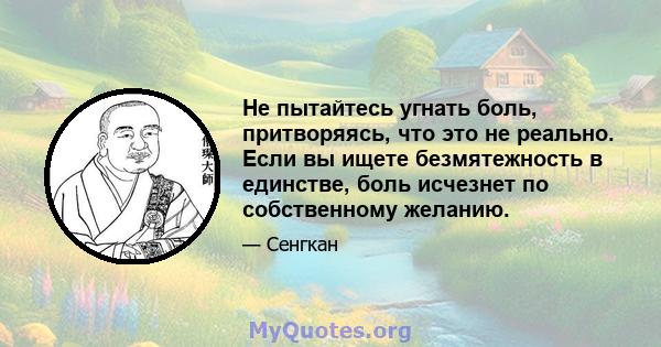 Не пытайтесь угнать боль, притворяясь, что это не реально. Если вы ищете безмятежность в единстве, боль исчезнет по собственному желанию.