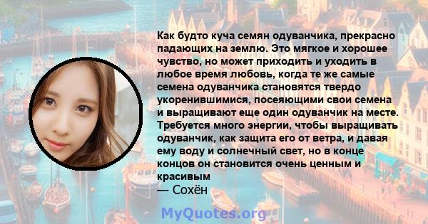 Как будто куча семян одуванчика, прекрасно падающих на землю. Это мягкое и хорошее чувство, но может приходить и уходить в любое время любовь, когда те же самые семена одуванчика становятся твердо укоренившимися,