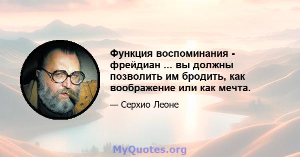 Функция воспоминания - фрейдиан ... вы должны позволить им бродить, как воображение или как мечта.