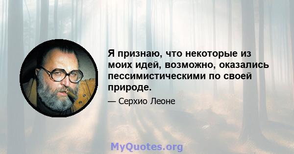 Я признаю, что некоторые из моих идей, возможно, оказались пессимистическими по своей природе.