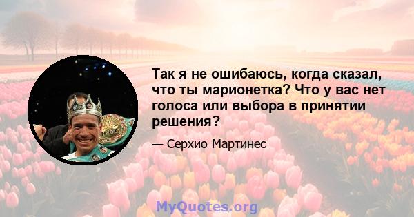 Так я не ошибаюсь, когда сказал, что ты марионетка? Что у вас нет голоса или выбора в принятии решения?