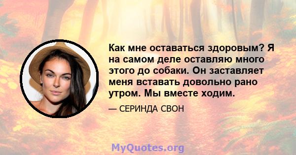 Как мне оставаться здоровым? Я на самом деле оставляю много этого до собаки. Он заставляет меня вставать довольно рано утром. Мы вместе ходим.