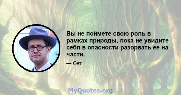 Вы не поймете свою роль в рамках природы, пока не увидите себя в опасности разорвать ее на части.