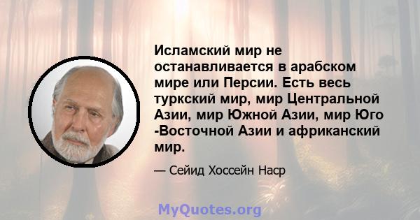 Исламский мир не останавливается в арабском мире или Персии. Есть весь туркский мир, мир Центральной Азии, мир Южной Азии, мир Юго -Восточной Азии и африканский мир.