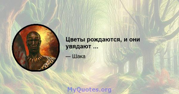 Цветы рождаются, и они увядают ...