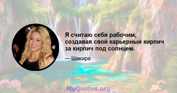 Я считаю себя рабочим, создавая свой карьерный кирпич за кирпич под солнцем.