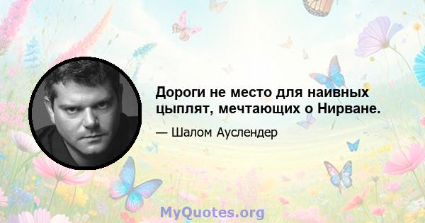 Дороги не место для наивных цыплят, мечтающих о Нирване.