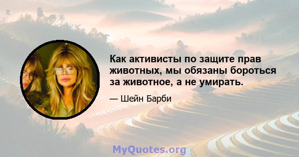 Как активисты по защите прав животных, мы обязаны бороться за животное, а не умирать.