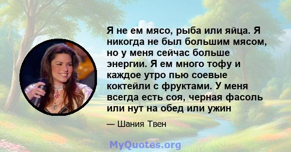 Я не ем мясо, рыба или яйца. Я никогда не был большим мясом, но у меня сейчас больше энергии. Я ем много тофу и каждое утро пью соевые коктейли с фруктами. У меня всегда есть соя, черная фасоль или нут на обед или ужин