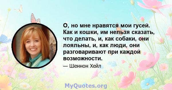 О, но мне нравятся мои гусей. Как и кошки, им нельзя сказать, что делать, и, как собаки, они лояльны, и, как люди, они разговаривают при каждой возможности.