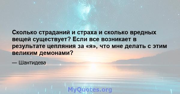 Сколько страданий и страха и сколько вредных вещей существует? Если все возникает в результате цепляния за «я», что мне делать с этим великим демонами?