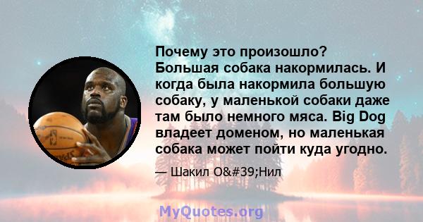 Почему это произошло? Большая собака накормилась. И когда была накормила большую собаку, у маленькой собаки даже там было немного мяса. Big Dog владеет доменом, но маленькая собака может пойти куда угодно.