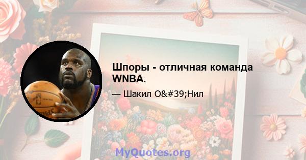 Шпоры - отличная команда WNBA.