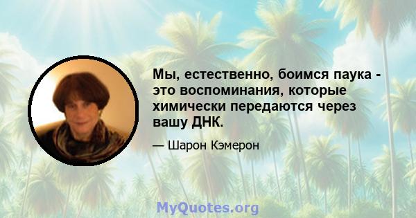 Мы, естественно, боимся паука - это воспоминания, которые химически передаются через вашу ДНК.