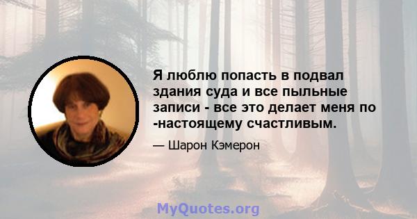 Я люблю попасть в подвал здания суда и все пыльные записи - все это делает меня по -настоящему счастливым.