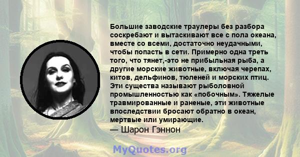 Большие заводские траулеры без разбора соскребают и вытаскивают все с пола океана, вместе со всеми, достаточно неудачными, чтобы попасть в сети. Примерно одна треть того, что тянет,-это не прибыльная рыба, а другие