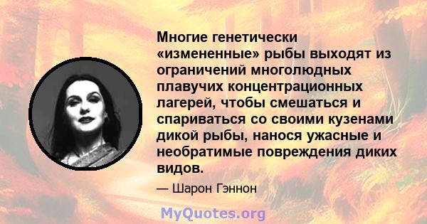 Многие генетически «измененные» рыбы выходят из ограничений многолюдных плавучих концентрационных лагерей, чтобы смешаться и спариваться со своими кузенами дикой рыбы, нанося ужасные и необратимые повреждения диких