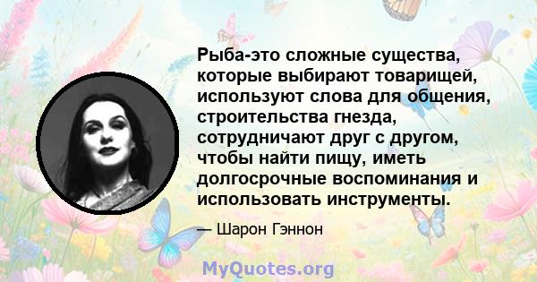 Рыба-это сложные существа, которые выбирают товарищей, используют слова для общения, строительства гнезда, сотрудничают друг с другом, чтобы найти пищу, иметь долгосрочные воспоминания и использовать инструменты.