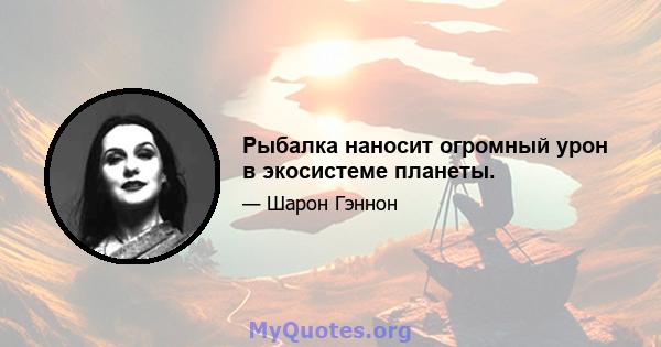 Рыбалка наносит огромный урон в экосистеме планеты.