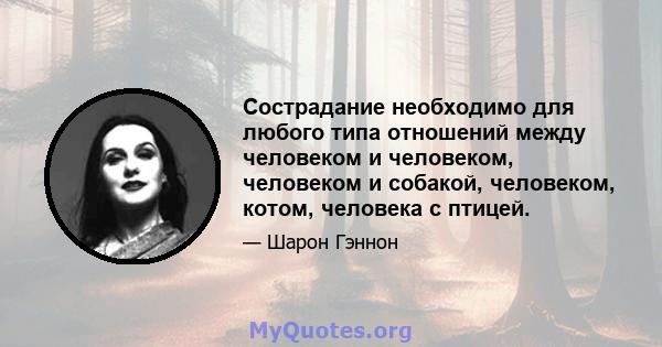 Сострадание необходимо для любого типа отношений между человеком и человеком, человеком и собакой, человеком, котом, человека с птицей.