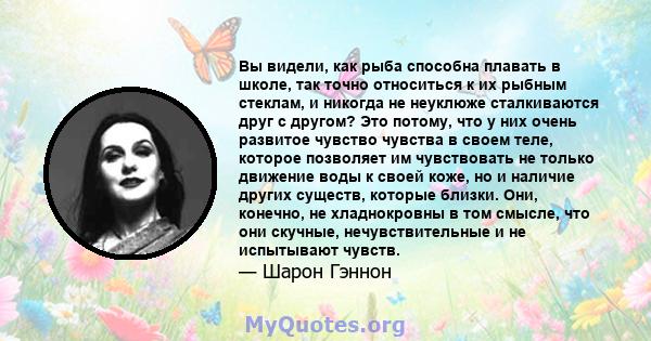 Вы видели, как рыба способна плавать в школе, так точно относиться к их рыбным стеклам, и никогда не неуклюже сталкиваются друг с другом? Это потому, что у них очень развитое чувство чувства в своем теле, которое