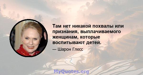 Там нет никакой похвалы или признания, выплачиваемого женщинам, которые воспитывают детей.