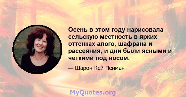 Осень в этом году нарисовала сельскую местность в ярких оттенках алого, шафрана и рассеяния, и дни были ясными и четкими под носом.