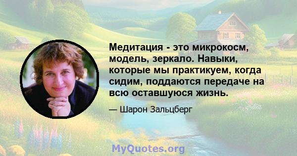 Медитация - это микрокосм, модель, зеркало. Навыки, которые мы практикуем, когда сидим, поддаются передаче на всю оставшуюся жизнь.