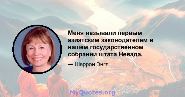 Меня называли первым азиатским законодателем в нашем государственном собрании штата Невада.