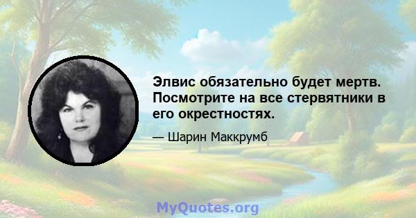 Элвис обязательно будет мертв. Посмотрите на все стервятники в его окрестностях.