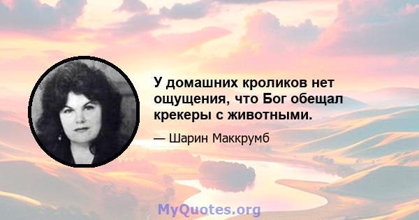 У домашних кроликов нет ощущения, что Бог обещал крекеры с животными.