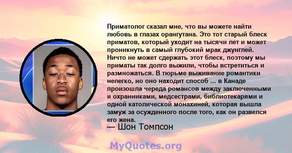 Приматолог сказал мне, что вы можете найти любовь в глазах орангутана. Это тот старый блеск приматов, который уходит на тысячи лет и может проникнуть в самый глубокий мрак джунглей. Ничто не может сдержать этот блеск,