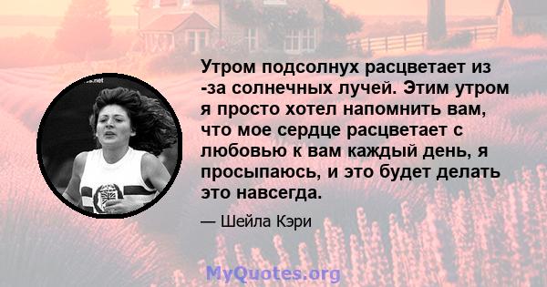 Утром подсолнух расцветает из -за солнечных лучей. Этим утром я просто хотел напомнить вам, что мое сердце расцветает с любовью к вам каждый день, я просыпаюсь, и это будет делать это навсегда.