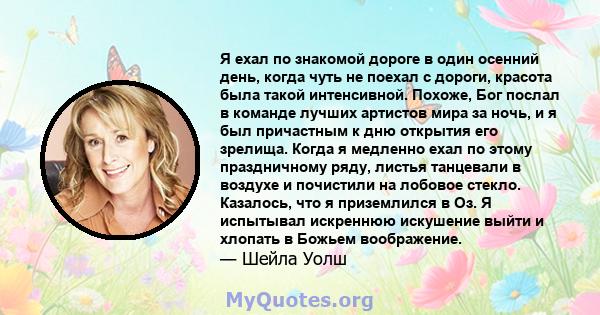 Я ехал по знакомой дороге в один осенний день, когда чуть не поехал с дороги, красота была такой интенсивной. Похоже, Бог послал в команде лучших артистов мира за ночь, и я был причастным к дню открытия его зрелища.