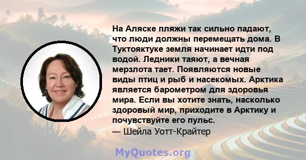 На Аляске пляжи так сильно падают, что люди должны перемещать дома. В Туктояктуке земля начинает идти под водой. Ледники таяют, а вечная мерзлота тает. Появляются новые виды птиц и рыб и насекомых. Арктика является